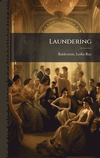 bokomslag Laundering
