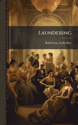 bokomslag Laundering