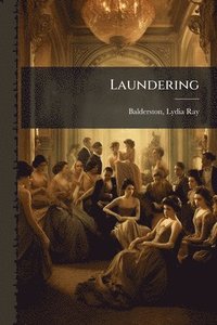 bokomslag Laundering