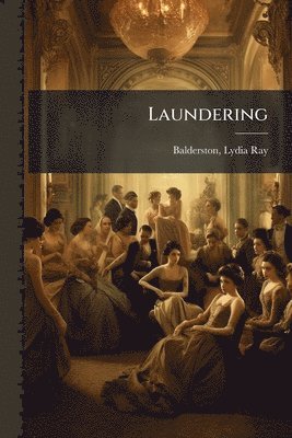 bokomslag Laundering