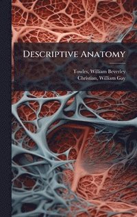 bokomslag Descriptive Anatomy