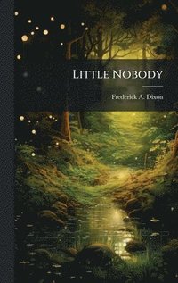 bokomslag Little Nobody