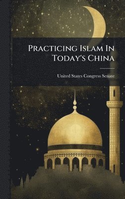 bokomslag Practicing Islam In Today's China