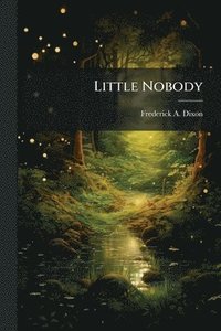 bokomslag Little Nobody