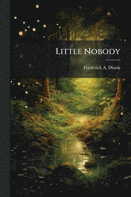 bokomslag Little Nobody