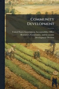bokomslag Community Development