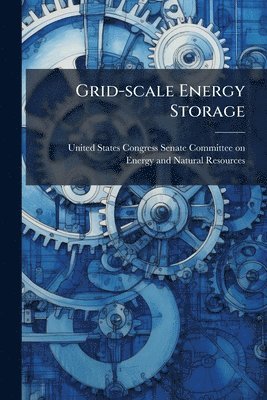bokomslag Grid-scale Energy Storage