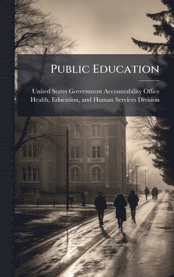 bokomslag Public Education