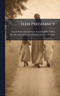bokomslag Teen Pregnancy
