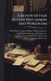 bokomslag Review Of Fasb Action Post-enron And Worldcom