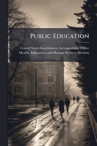 bokomslag Public Education