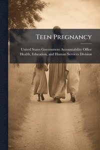 bokomslag Teen Pregnancy