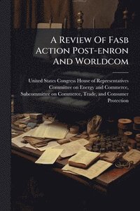 bokomslag Review Of Fasb Action Post-enron And Worldcom