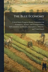 bokomslag Blue Economy