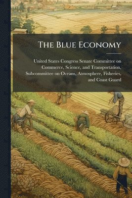 bokomslag Blue Economy