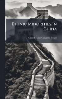 bokomslag Ethnic Minorities In China