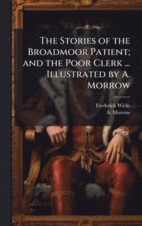 bokomslag Stories of the Broadmoor Patient; and the Poor Clerk ... Illustrated by A. Morrow