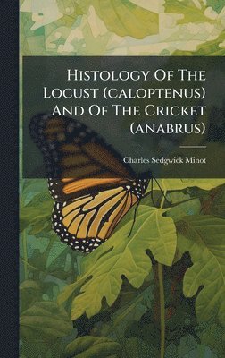 Histology Of The Locust (caloptenus) And Of The Cricket (anabrus)