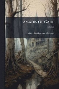 bokomslag AmadÃ-s Of Gaul