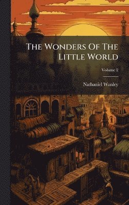 bokomslag Wonders Of The Little World