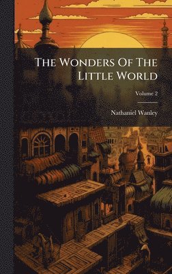 Wonders Of The Little World