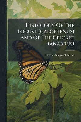 Histology Of The Locust (caloptenus) And Of The Cricket (anabrus)