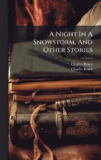 bokomslag Night In A Snowstorm, And Other Stories