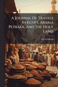 bokomslag A Journal Of Travels In Egypt, Arabia Petraea, And The Holy Land