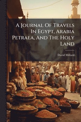 David Millard - Journal Of Travels In Egypt, Arabia Petraea, And The Holy Land, Häftad