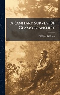 bokomslag A Sanitary Survey Of Glamorganshire