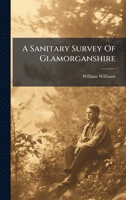 bokomslag A Sanitary Survey Of Glamorganshire