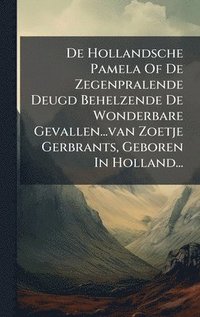 bokomslag De Hollandsche Pamela Of De Zegenpralende Deugd Behelzende De Wonderbare Gevallen...van Zoetje Gerbrants, Geboren In Holland...