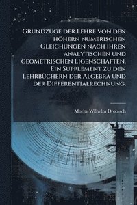 bokomslag GrundzÃ1/4ge der Lehre von den höhern numerischen Gleichungen nach ihren analytischen und geometrischen Eigenschaften. Ein Supplement zu den LehrbÃ1/4