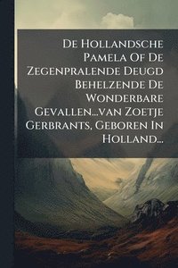 bokomslag De Hollandsche Pamela Of De Zegenpralende Deugd Behelzende De Wonderbare Gevallen...van Zoetje Gerbrants, Geboren In Holland...