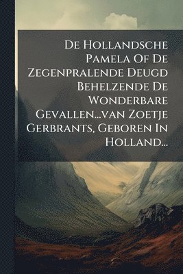 bokomslag De Hollandsche Pamela Of De Zegenpralende Deugd Behelzende De Wonderbare Gevallen...van Zoetje Gerbrants, Geboren In Holland...