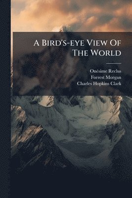 bokomslag Bird's-eye View Of The World