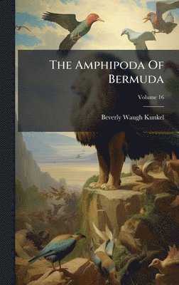 bokomslag Amphipoda Of Bermuda