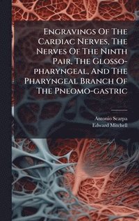 bokomslag Engravings Of The Cardiac Nerves, The Nerves Of The Ninth Pair, The Glosso-pharyngeal, And The Pharyngeal Branch Of The Pneomo-gastric