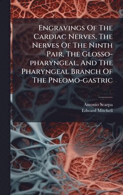 bokomslag Engravings Of The Cardiac Nerves, The Nerves Of The Ninth Pair, The Glosso-pharyngeal, And The Pharyngeal Branch Of The Pneomo-gastric