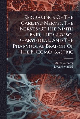 bokomslag Engravings Of The Cardiac Nerves, The Nerves Of The Ninth Pair, The Glosso-pharyngeal, And The Pharyngeal Branch Of The Pneomo-gastric