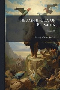 bokomslag The Amphipoda Of Bermuda