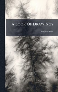 bokomslag Book Of Drawings