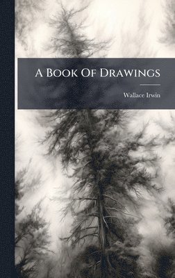 bokomslag Book Of Drawings