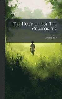 bokomslag Holy-ghost The Comforter