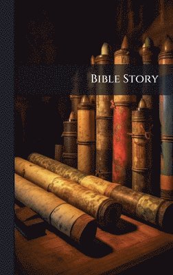 bokomslag Bible Story