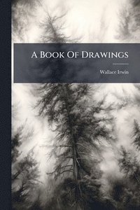 bokomslag Book Of Drawings