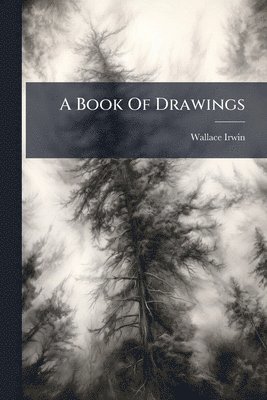 bokomslag Book Of Drawings