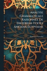 bokomslag Analyse Grammaticale RaisonnÃ(c)e De DiffÃ(c)rens Textes Anciens Ã¿gyptiens