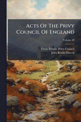 bokomslag Acts Of The Privy Council Of England