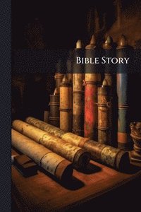 bokomslag Bible Story
